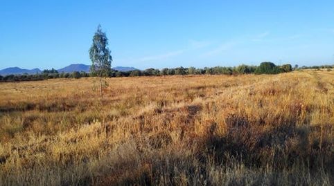 Foto 2 de Residencial en venta en Navalvillar de Pela, Badajoz