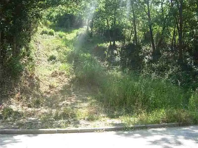 Wohnbaugrundstück zum Verkauf in Junior Park, imagen 4