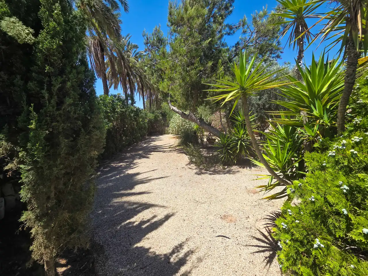 Casa o xalet en venda en Elche / Elx amb Jardí privat, Terrassa i Piscina