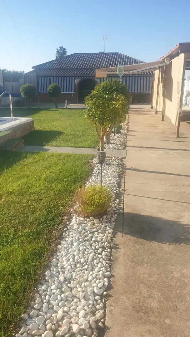 Xalet amb piscina en venda a Parque de la Constitución 5a, imagen 3