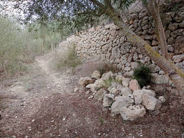 Terreno en Venta en Diseminado Sector Num 3, 192 en Petra