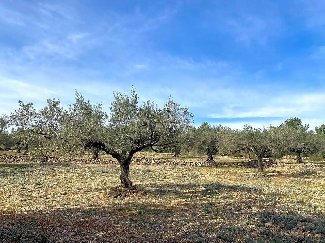 Terreno rustico in vendita a Planas, imagen 10