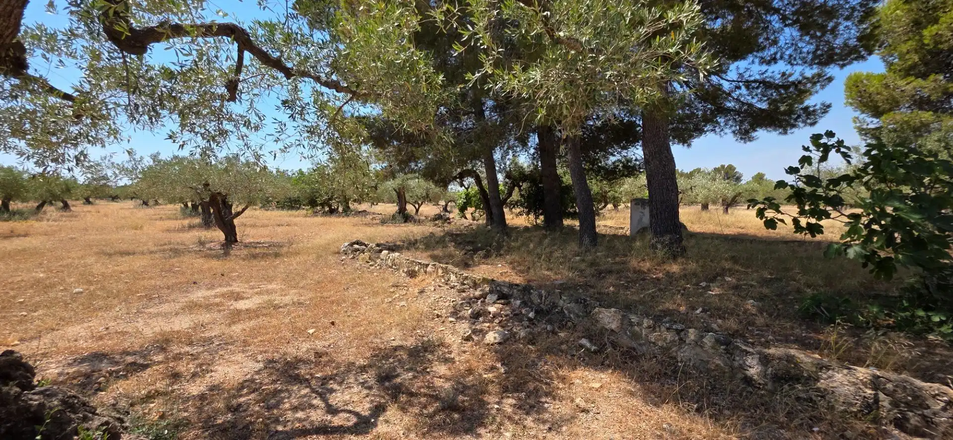 Maison rustique à vendre à L'Ametlla de Mar pueblo, imagen 22