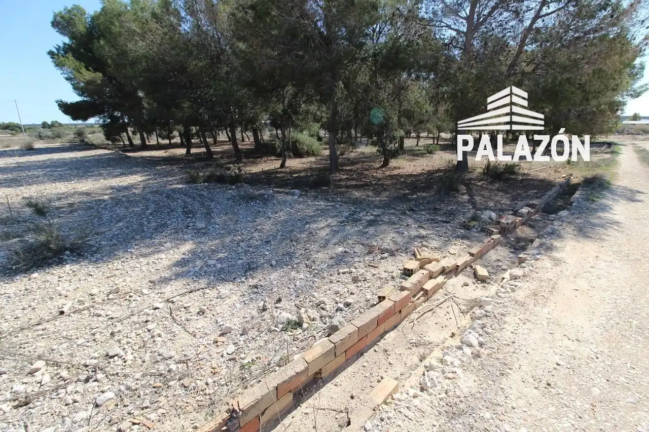 Terreno rustico in vendita a Crevillent, imagen 2