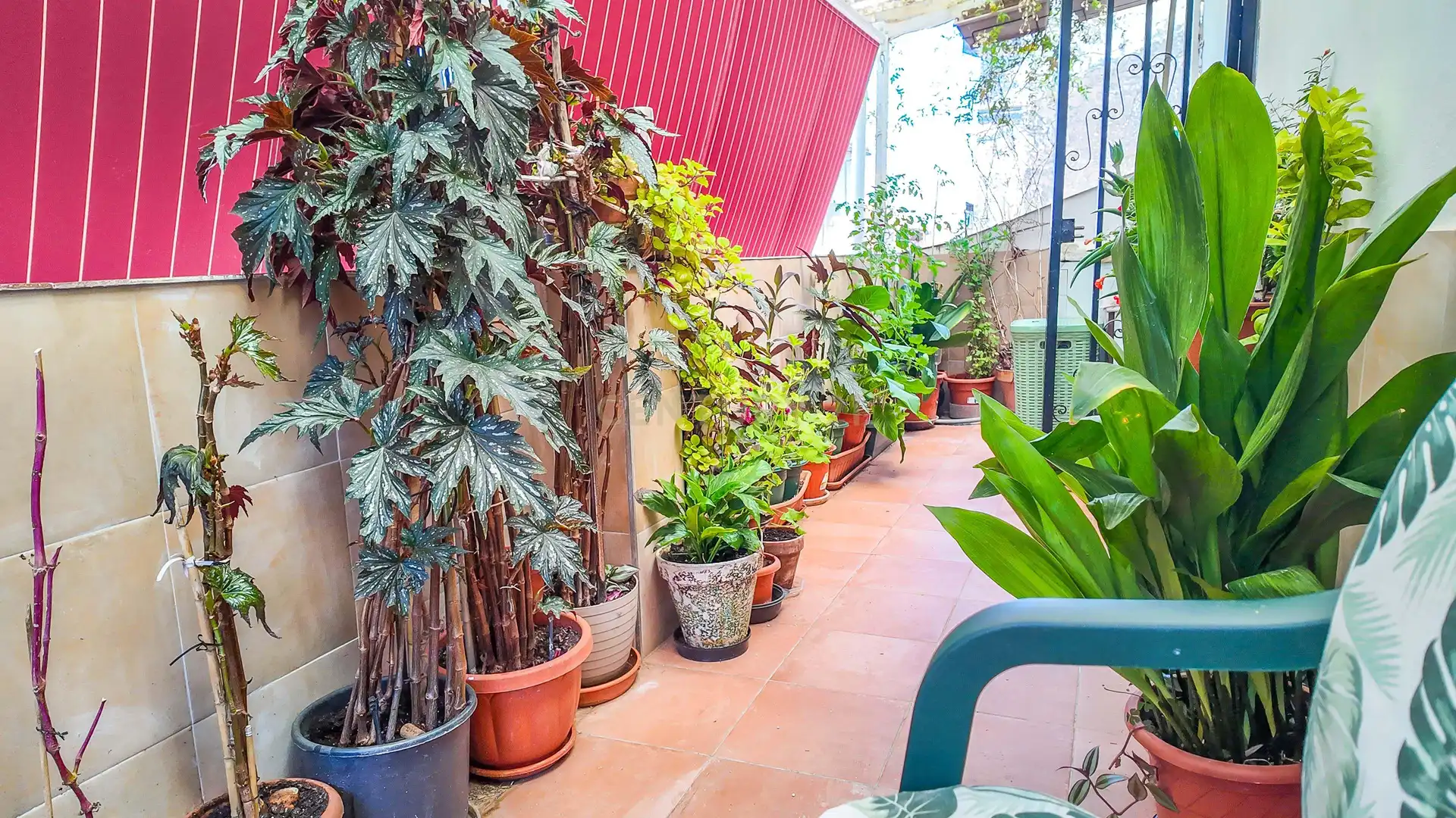 Terrace of Houses for sale in Cáceres  with Balcony