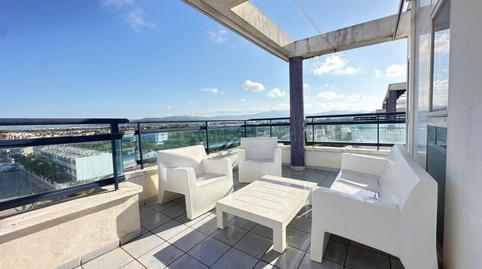 Foto 4 de Ático en venta en  Roger de Lauria, Daimús, Valencia