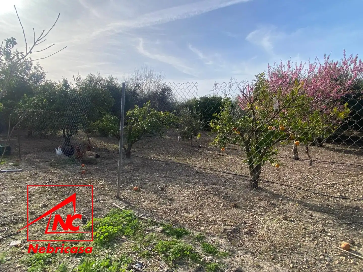 Finca rústica en venta en Las Cabezas de San Juan