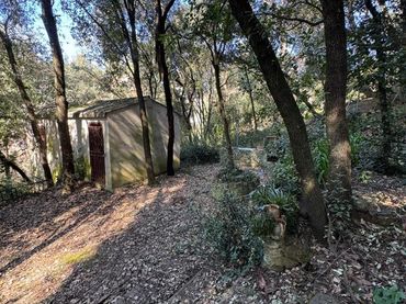 Terrenos y solares en venta en De Lluis Millet