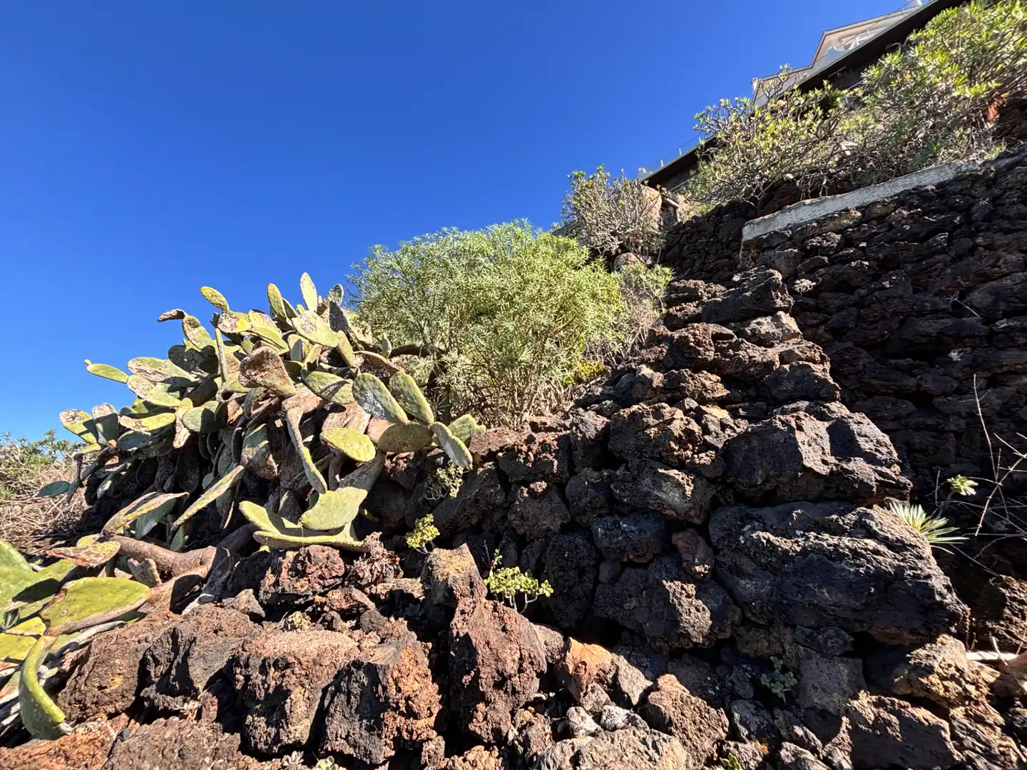 Terreno rustico in vendita a Camino de San Diego, imagen 21