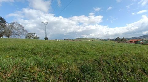 2 FINCAS URBANAS DE 2.000 M2 CADA UNA EN UN ENTORNO PRIVILEGIADO., immagine 3