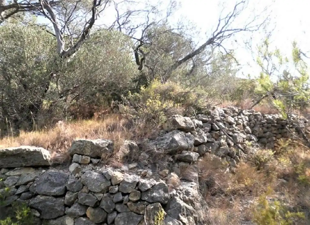 Rustikales Grundstück zum Verkauf in ZONA DISSEMINAT DEL COLL DE LALBA, imagen 5