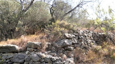Foto 5 de Terreno en venta en Zona Disseminat del Coll de Lalba, Bítem, Tortosa