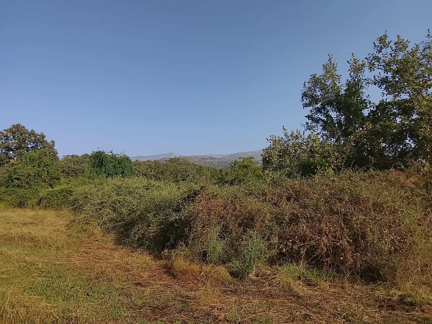 Terreni e lotti in vendita a Villanueva de la Vera