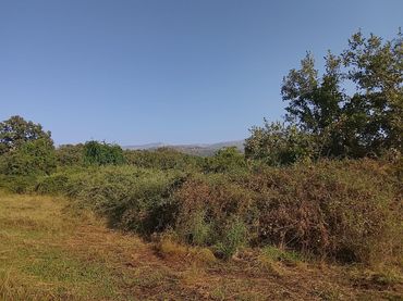 Terreno rustico in vendita a Villanueva de la Vera