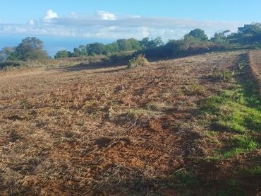 Terreno rústico en venta en El Sauzal