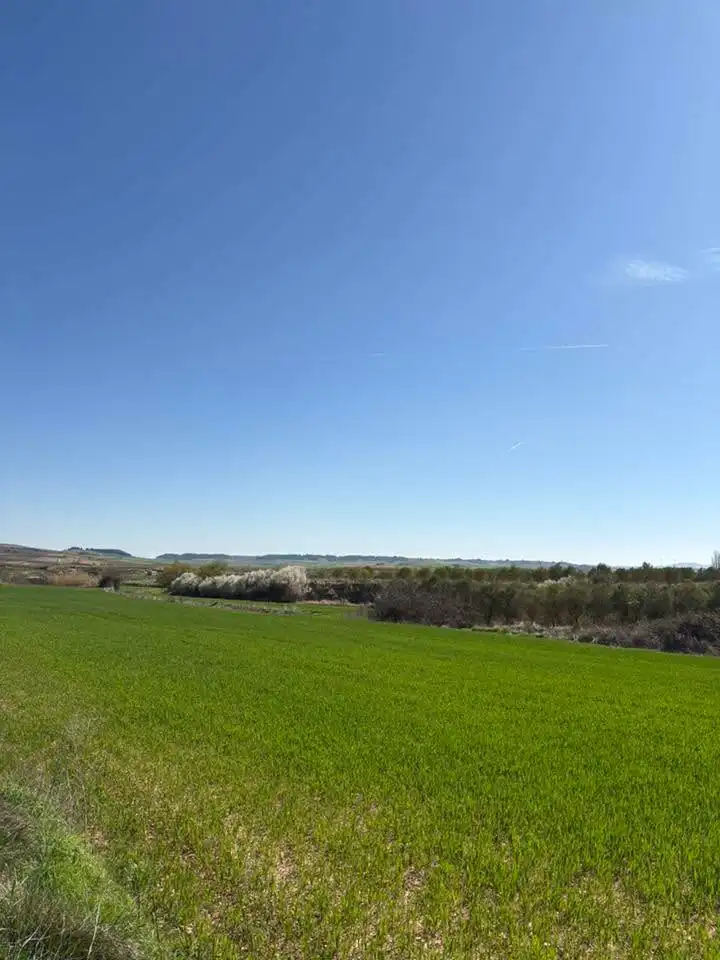 Rustikales Grundstück zum Verkauf in Villamediana de Iregua, imagen 5