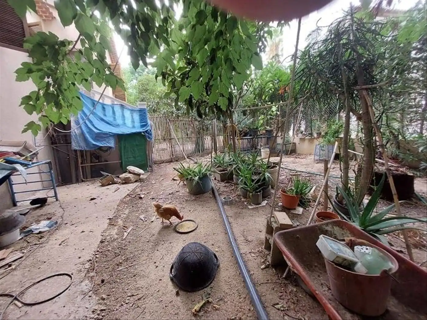 Villa avec jardin à vendre à Avenida de las Brisas 12, imagen 12