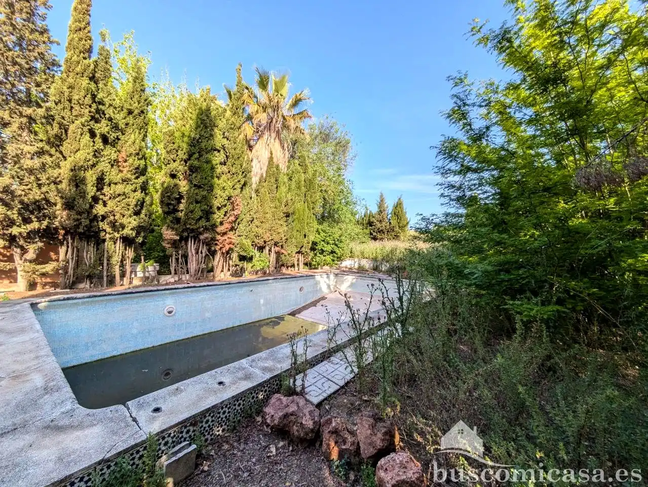 Piscina de Finca rústica en venda en Linares amb Jardí privat i Piscina
