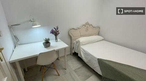 Foto 2 de Pis per a compartir a Feria, Sevilla