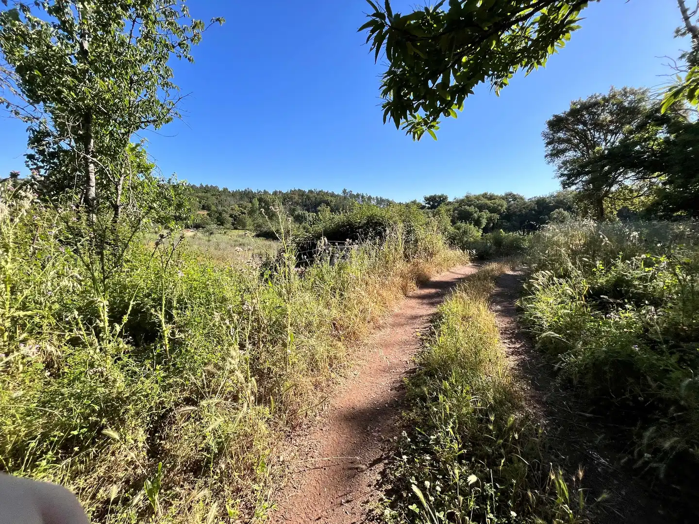 Residential for sale in Fuenteheridos