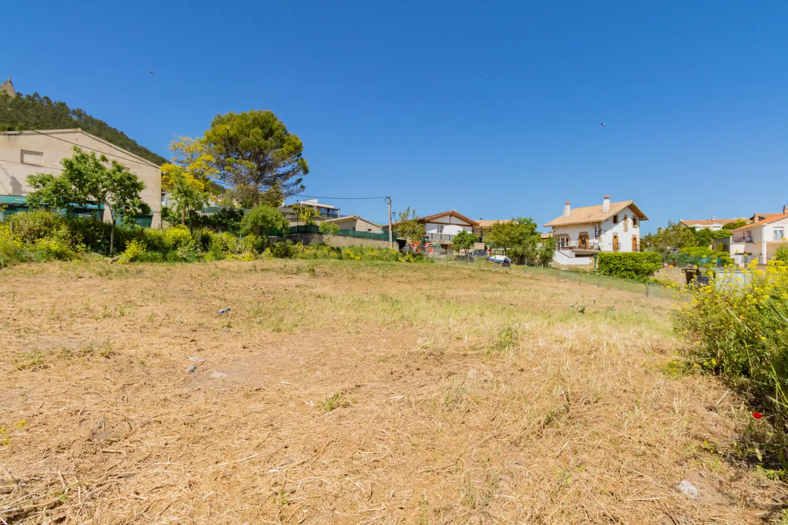Land for sale in Griegos