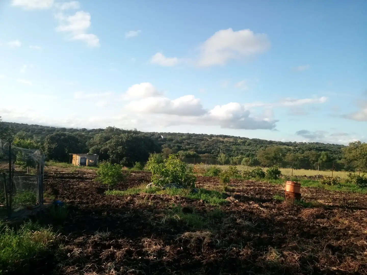 Terreni e lotti in vendita a Castilblanco de los Arroyos, imagen 7