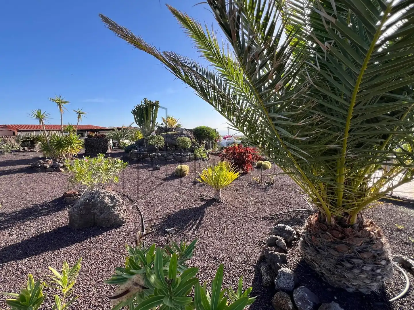 Jardí de Casa o xalet en venda en La Oliva amb Aire condicionat, Jardí privat i Terrassa