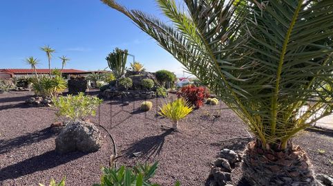 Foto 3 de Casa o xalet en venda a El Rosal, Parque Holandés, La Oliva
