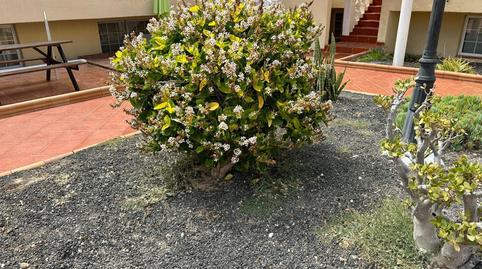 Foto 4 de Dúplex en venda a Marcial Sanchez Velazquez, Caleta de Fuste, Antigua