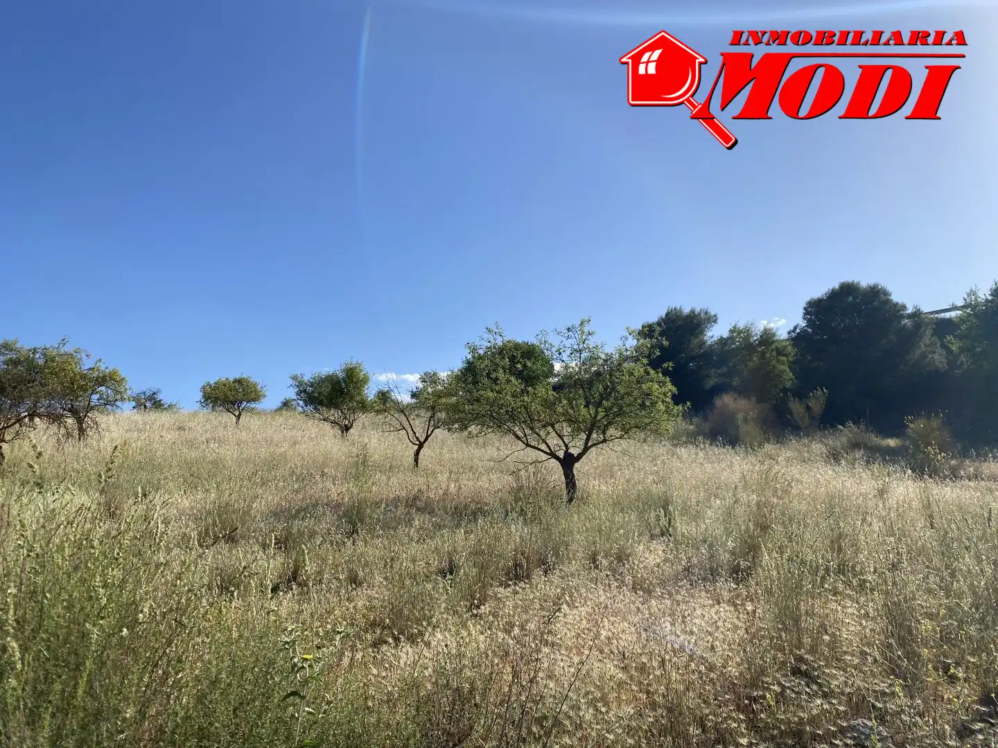 Terreni e lotti in vendita a Padul, imagen 8
