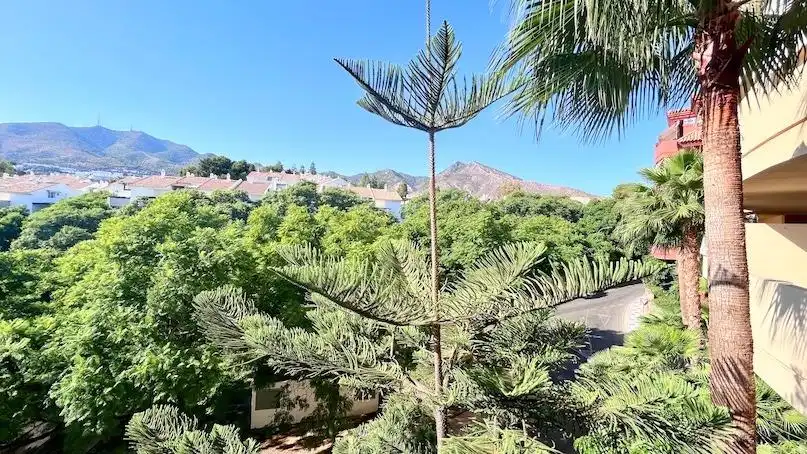 Baixos amb piscina en venda a Calle de la Vela, imagen 16