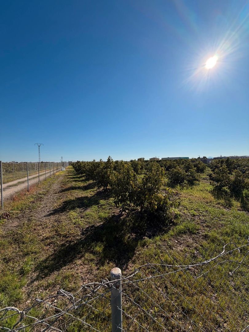 Land for sale in L'Alqueria de la Comtessa