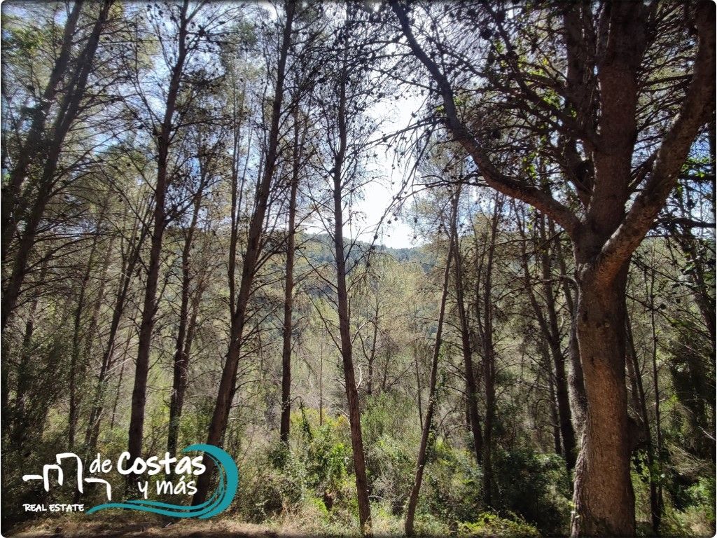 Residencial en venda en La Font d'En Carròs