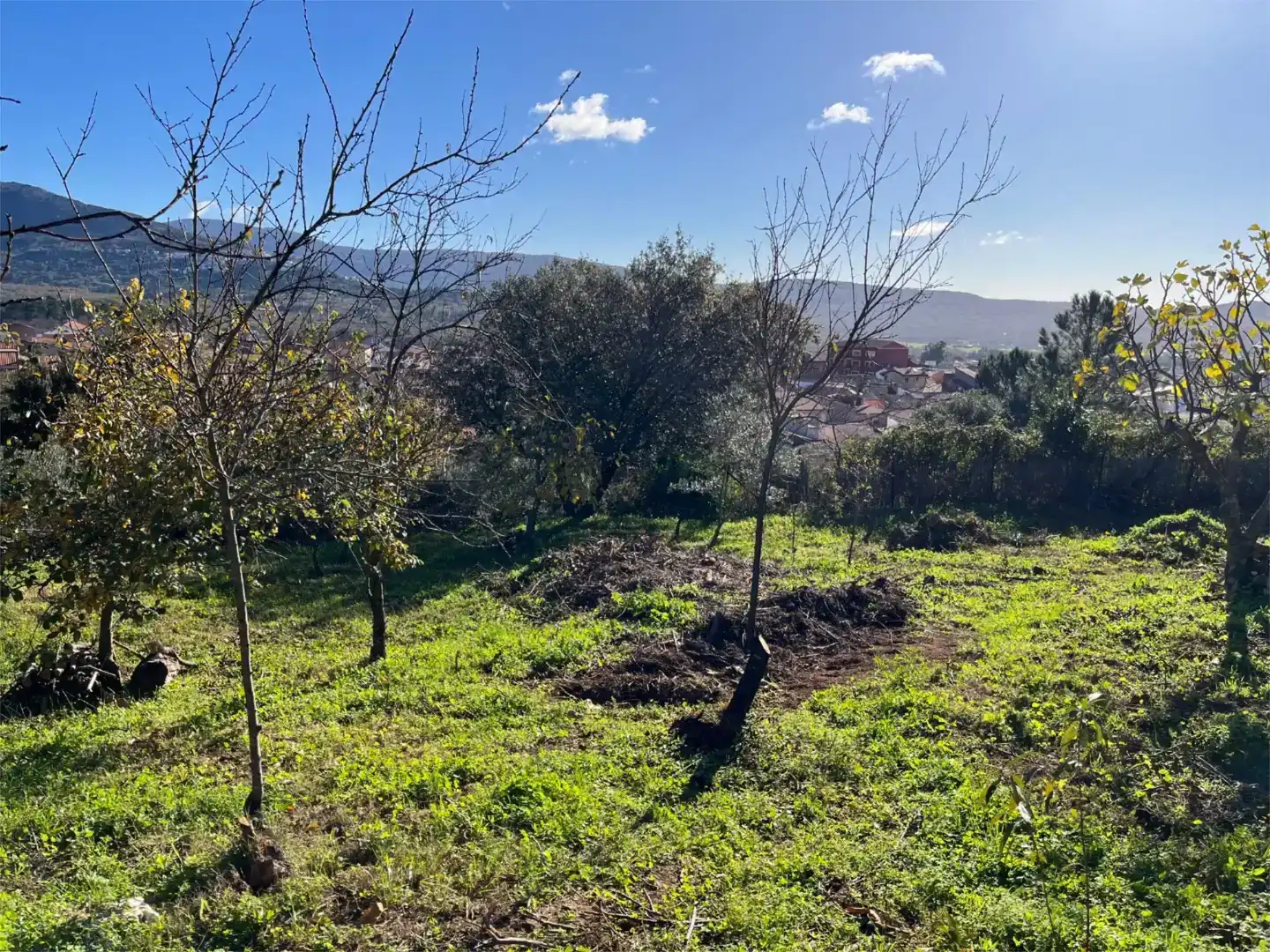 Terreno en venta en Valverde del Fresno