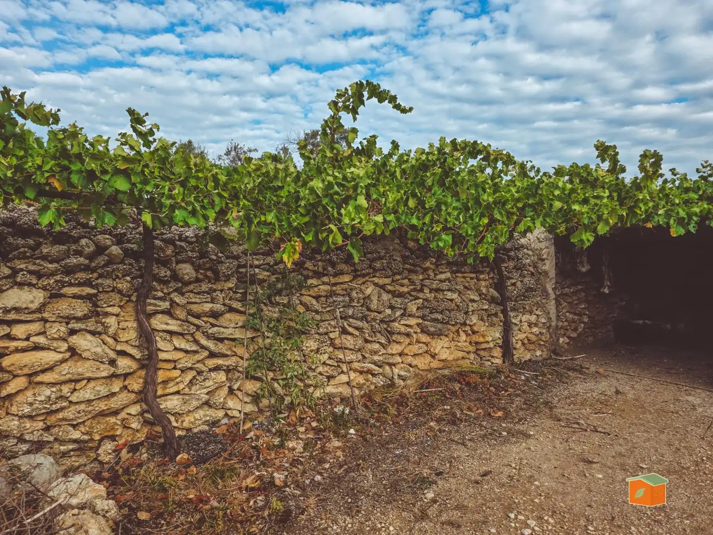 Casa rustica in vendita a Ulldecona, imagen 6