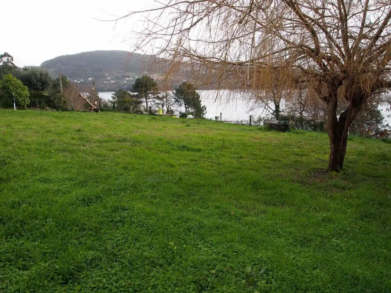 Houses for rent in Fene