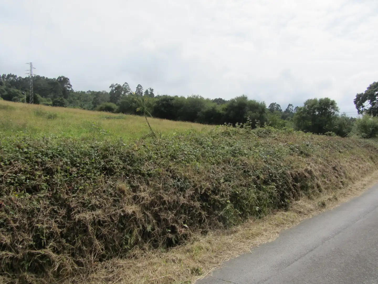 Terreny residencial en venda a Camin de los Payares, imagen 21