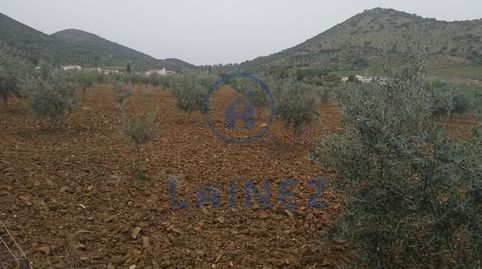 Finca totalmente llana con casa y nave en aldea del Hoyo municipio de Belmez. Con una superficie de 18.896, 
Con acceso por camin, imatge 2