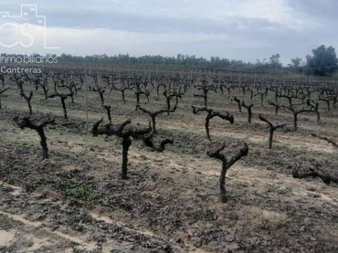 Terreno rustico in vendita a Almonte ciudad