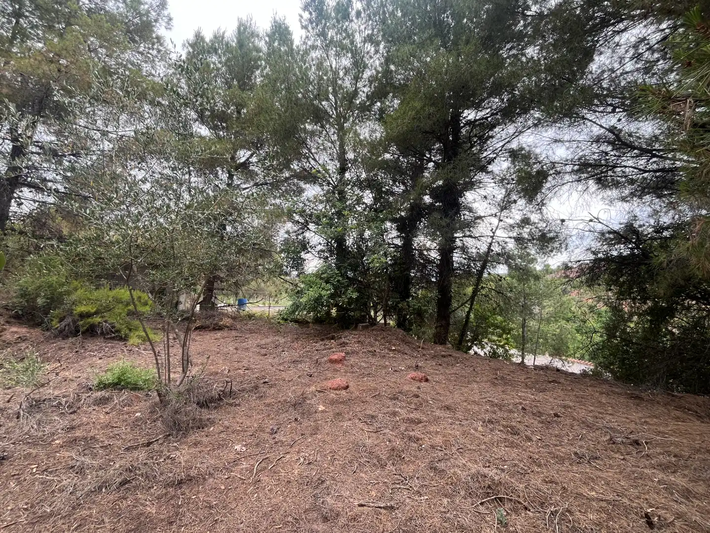 Residencial en venda en Torres Torres