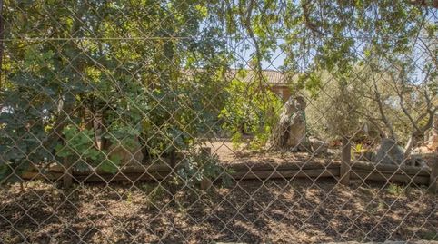 Foto 4 de Casa o chalet en venta en Carrer Jaume I, Santa María del Camí, Illes Balears