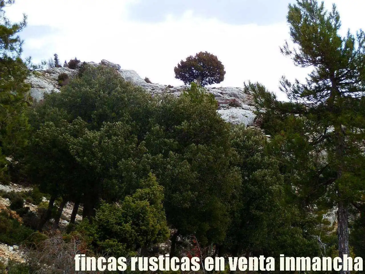 Terreno rústico en venta en Nerpio, imagen 3
