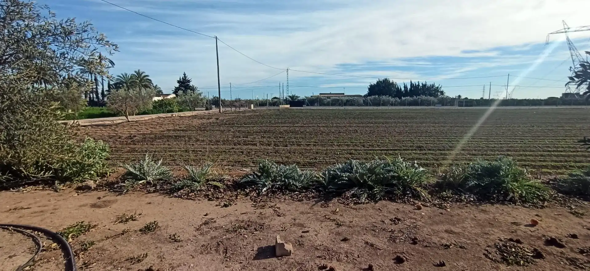 House with garden for sale in La Foia - Daimés - Asprella, imagen 46