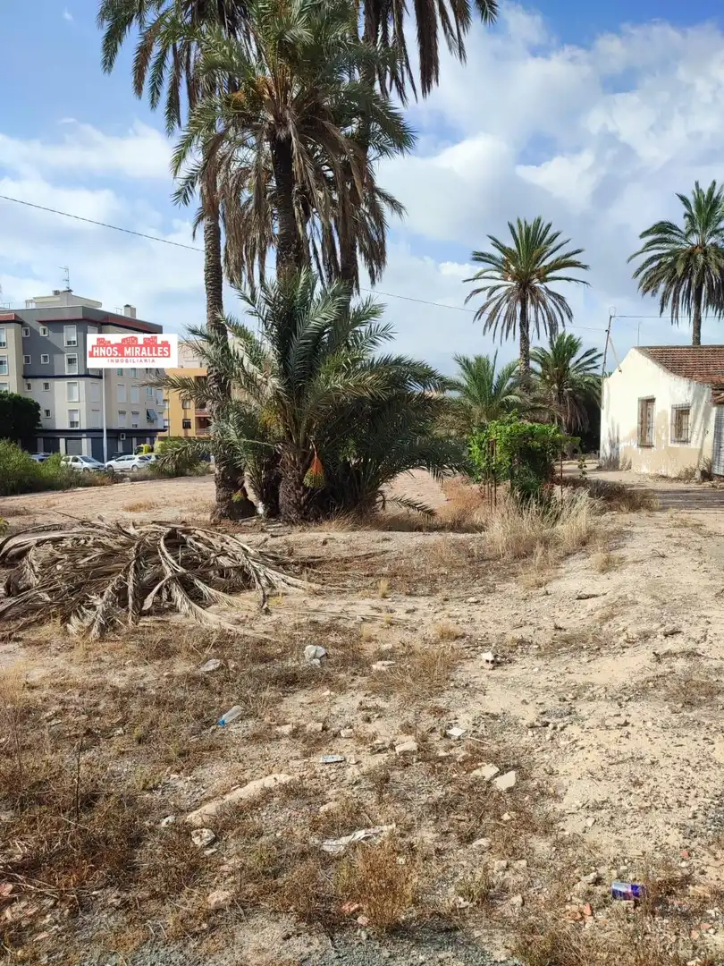 Country homes for sale in Elche / Elx