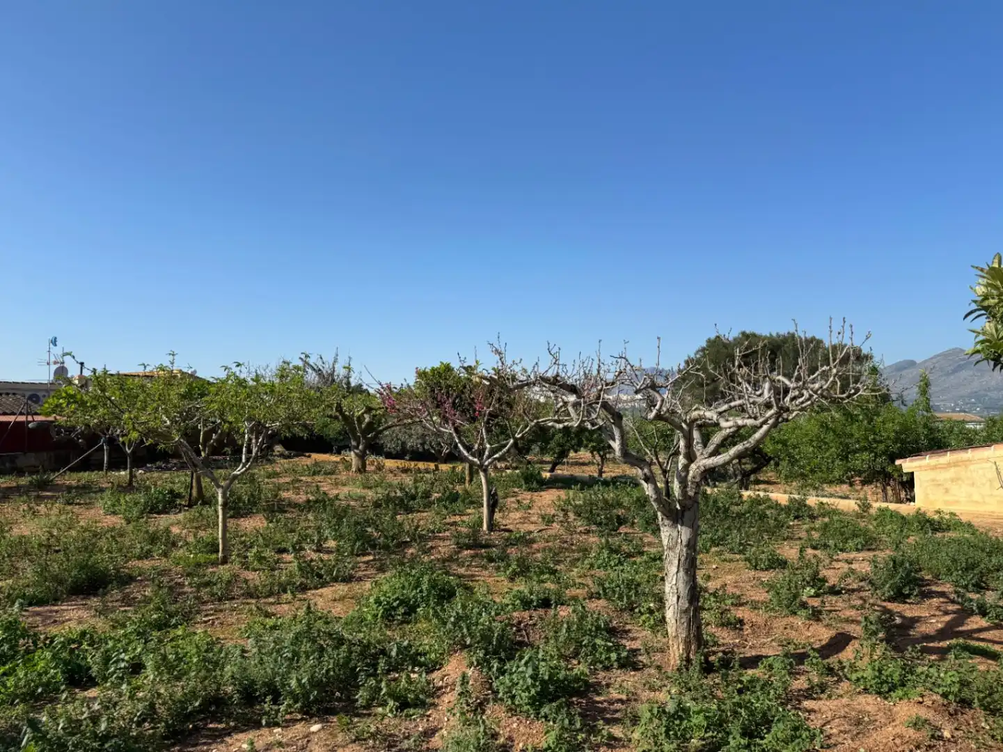 Maison rustique avec piscine à vendre à Benissa pueblo, imagen 6