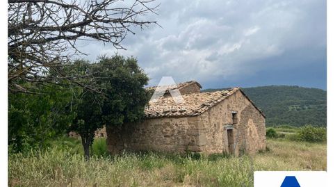 CASTELLÓ I BUSA Navès  Finca rústica de 146 Ha, imagen 4