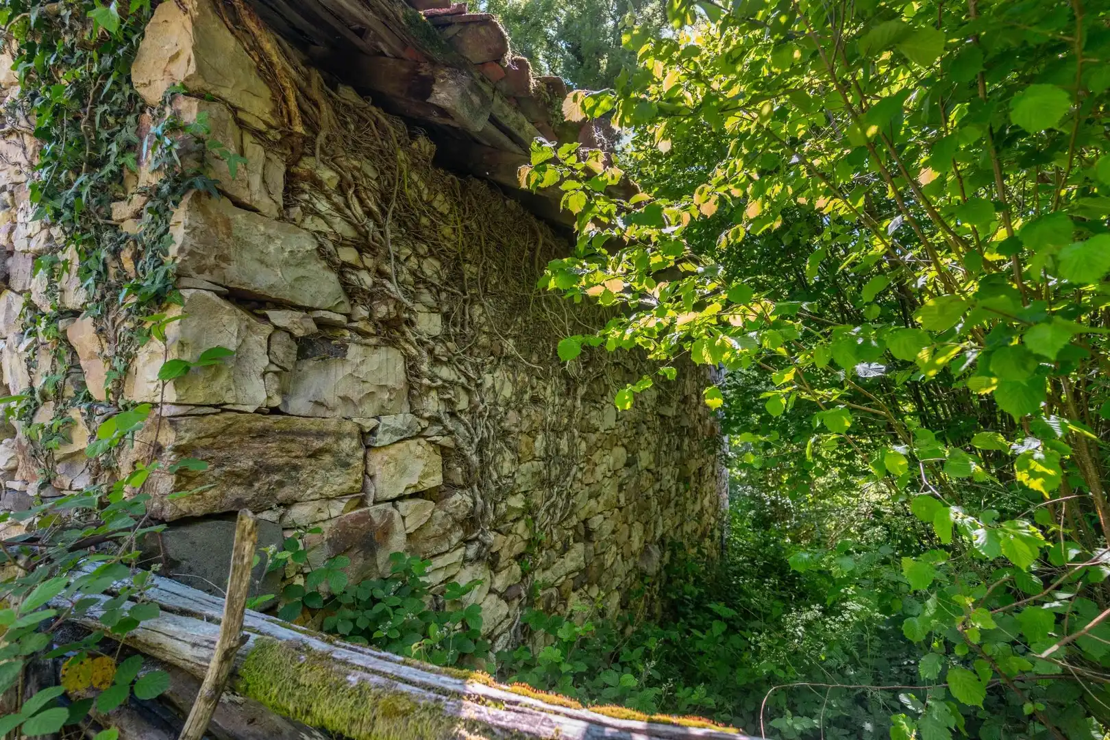 Casa in vendita a Carretera de Ricabo, imagen 4