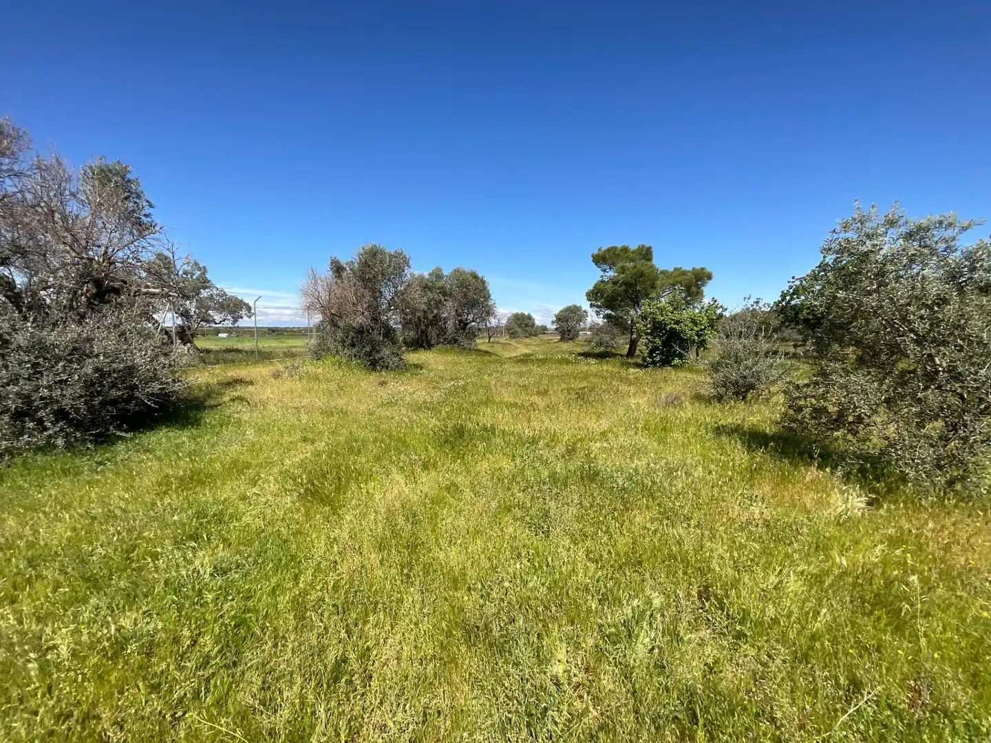 Country homes for sale in Illescas  with Swimming Pool and Alarm