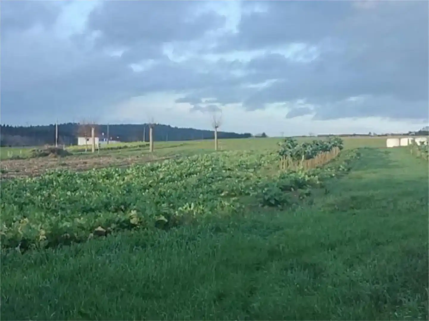 Pis en venda en O Pino 