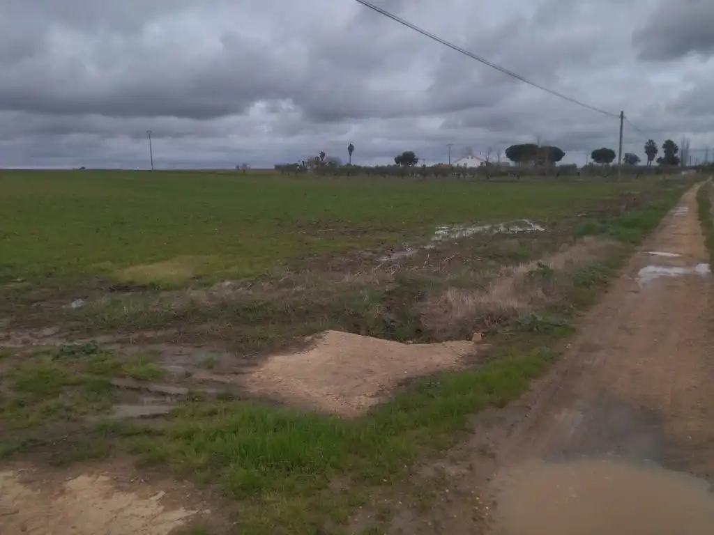 Terreno rustico in vendita a Mengabril, imagen 5